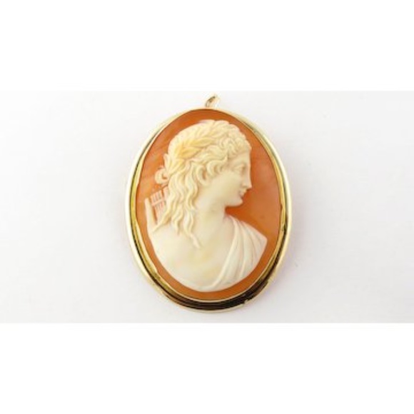 Vintage 18 Karat Yellow Gold Cameo Pendant/Brooch #3920 - Picture 6 of 8